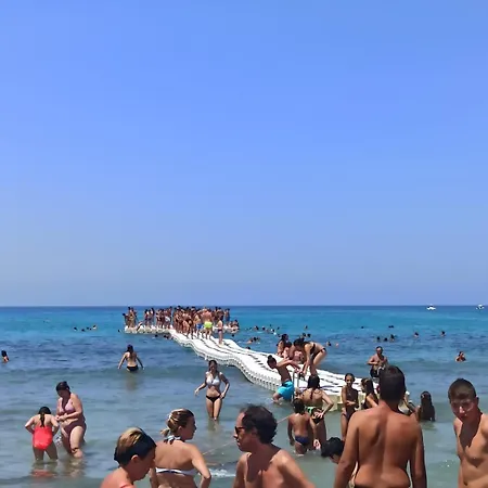 Cofanomare